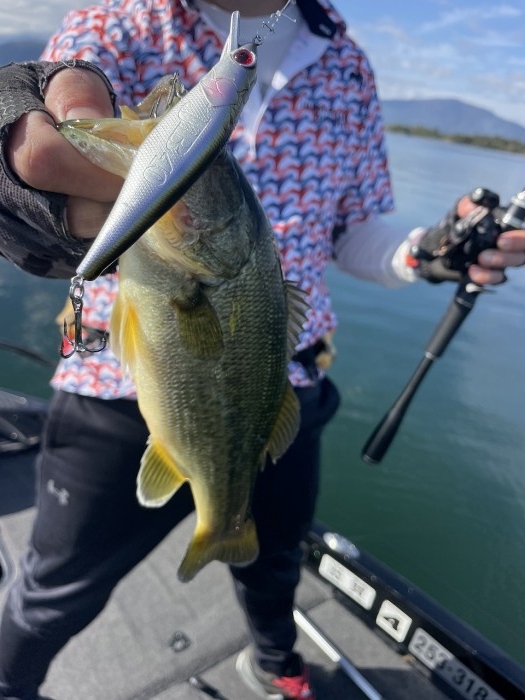 truth  ブログ写真 2024/11/10