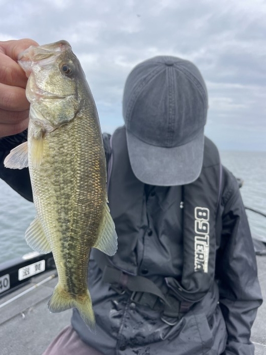 truth  ブログ写真 2024/11/14