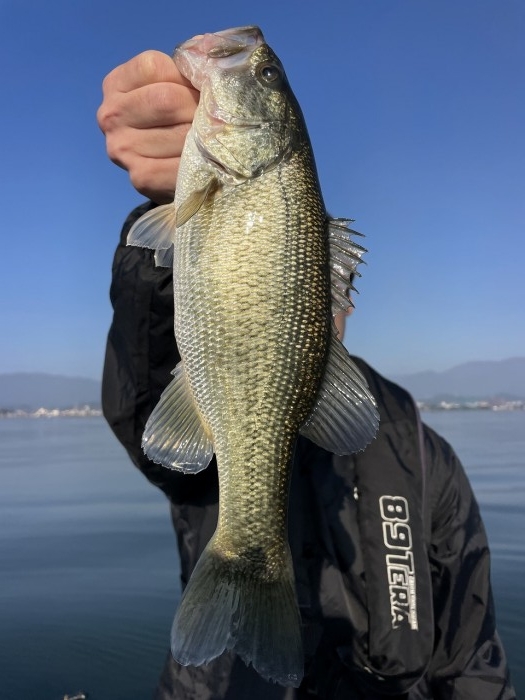 truth  ブログ写真 2024/11/14