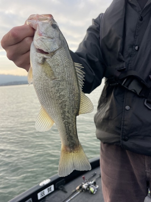 truth  ブログ写真 2024/11/14