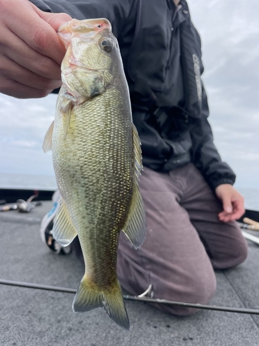 truth  ブログ写真 2024/11/14