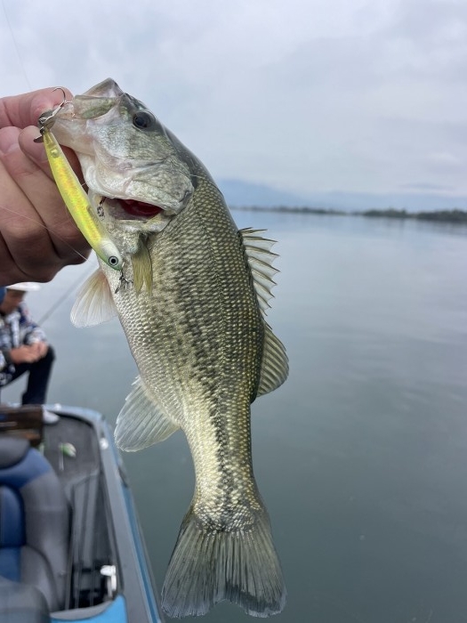 truth  ブログ写真 2024/11/15