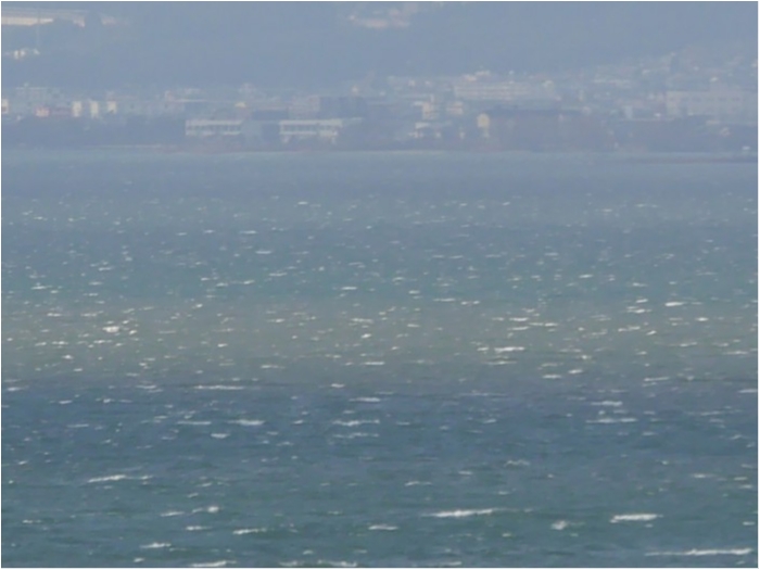 truth  ブログ写真 2018/01/09