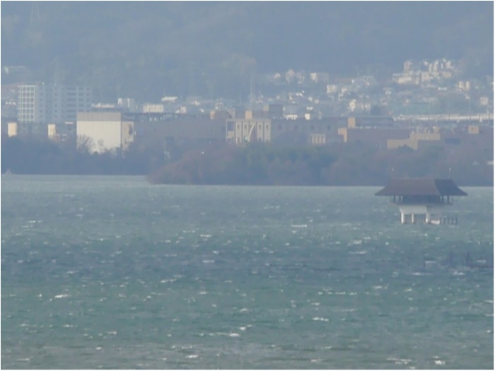 truth  ブログ写真 2018/01/09