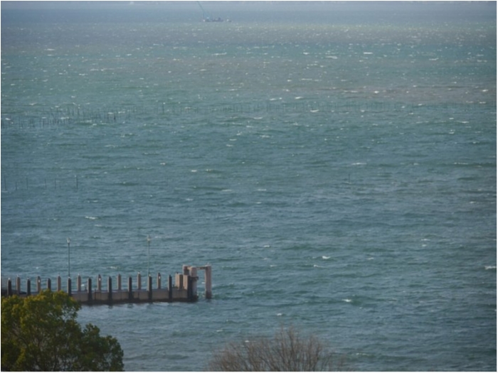 truth  ブログ写真 2018/01/09