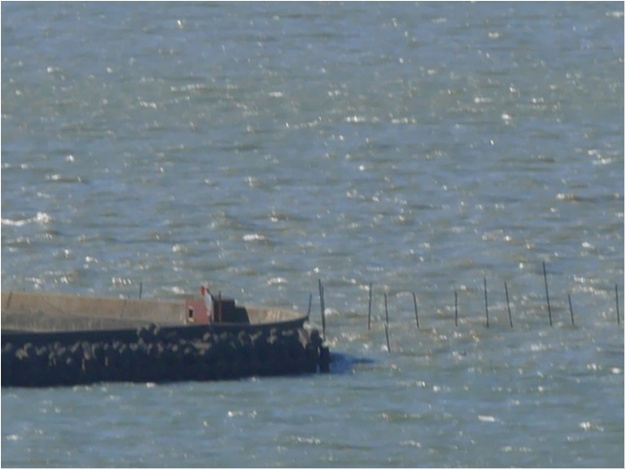 truth  ブログ写真 2018/01/12