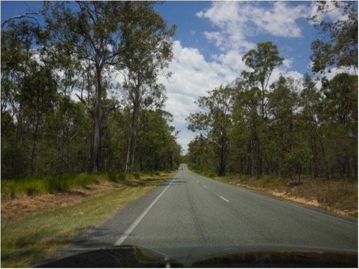 truth  ブログ写真 2018/01/15