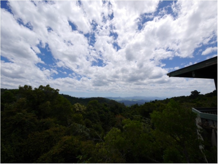 truth  ブログ写真 2018/01/15