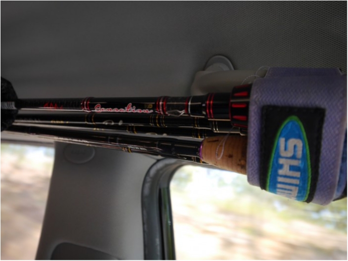 truth  ブログ写真 2018/01/15