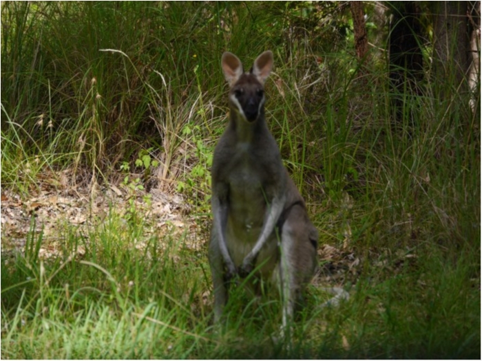 truth  ブログ写真 2018/01/15