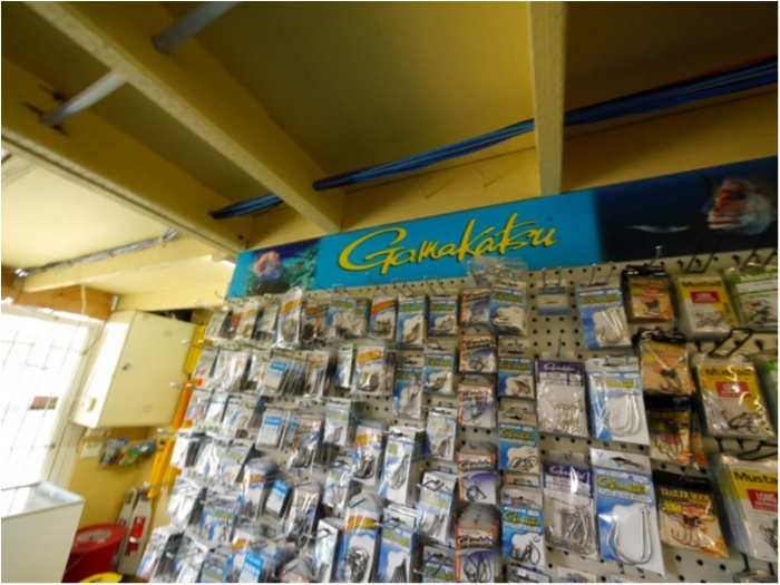 truth  ブログ写真 2018/01/20