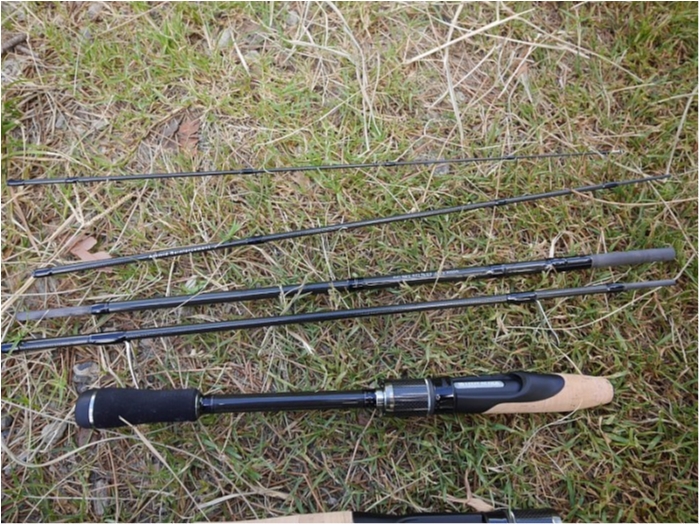 truth  ブログ写真 2018/01/21