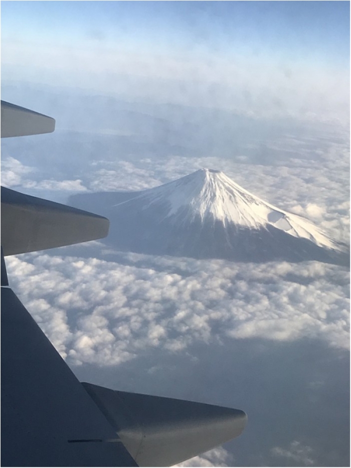 truth  ブログ写真 2018/01/23