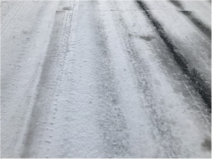 truth  ブログ写真 2018/01/25