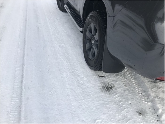 truth  ブログ写真 2018/01/25