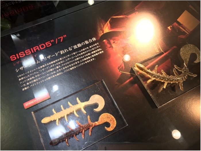 truth  ブログ写真 2018/02/05