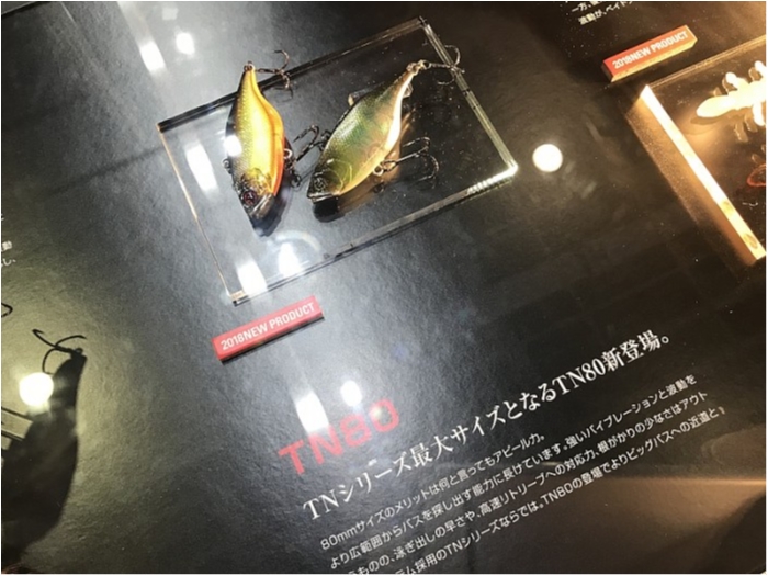 truth  ブログ写真 2018/02/05