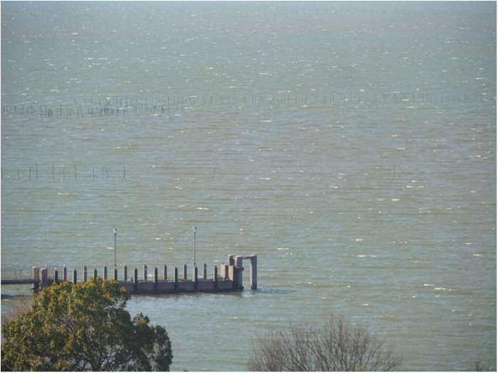 truth  ブログ写真 2018/02/07