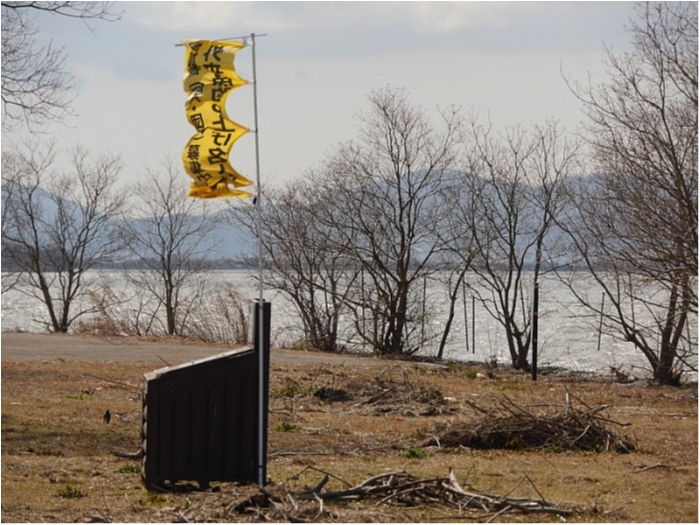 truth  ブログ写真 2018/03/02