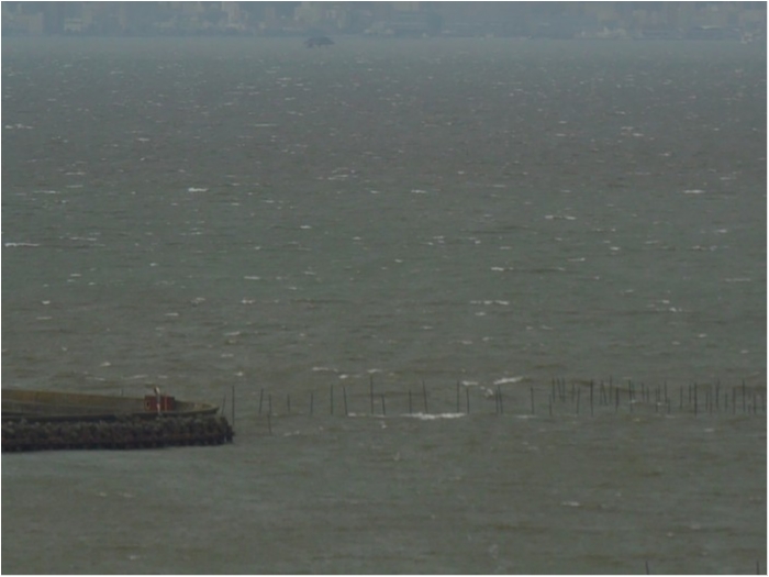 truth  ブログ写真 2018/03/02