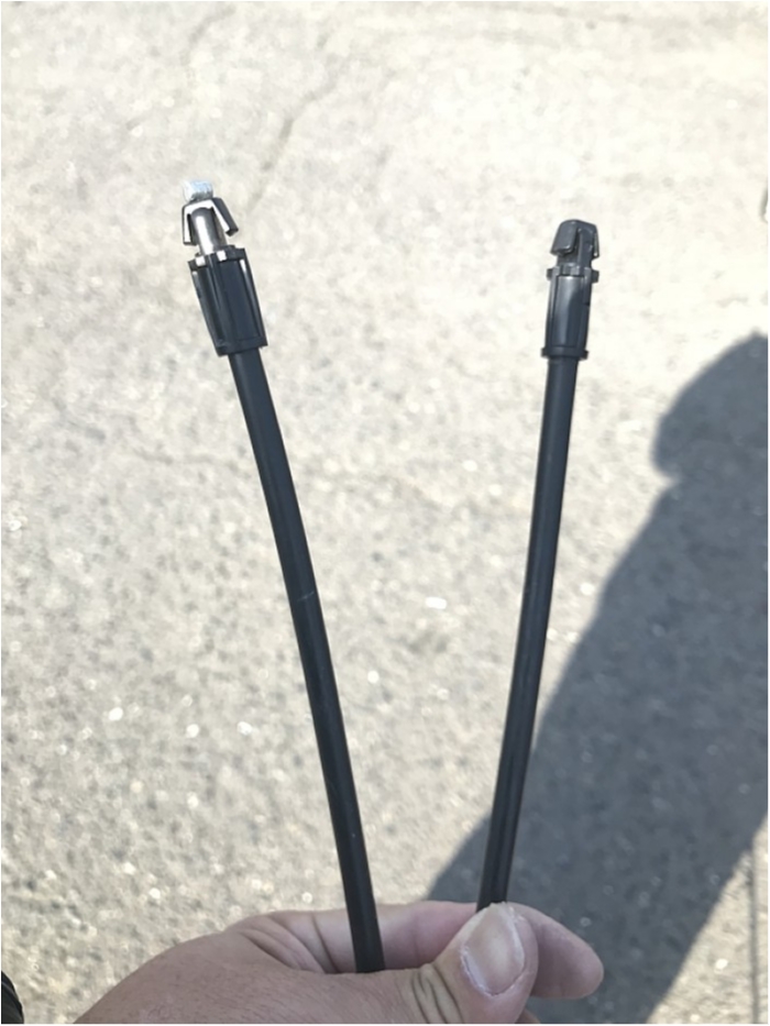 truth  ブログ写真 2018/03/04