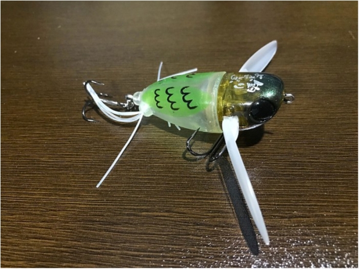 truth  ブログ写真 2018/05/07