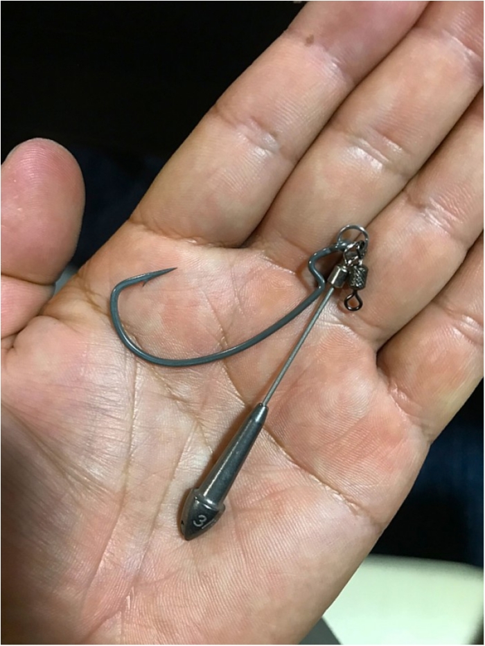 truth  ブログ写真 2018/07/04