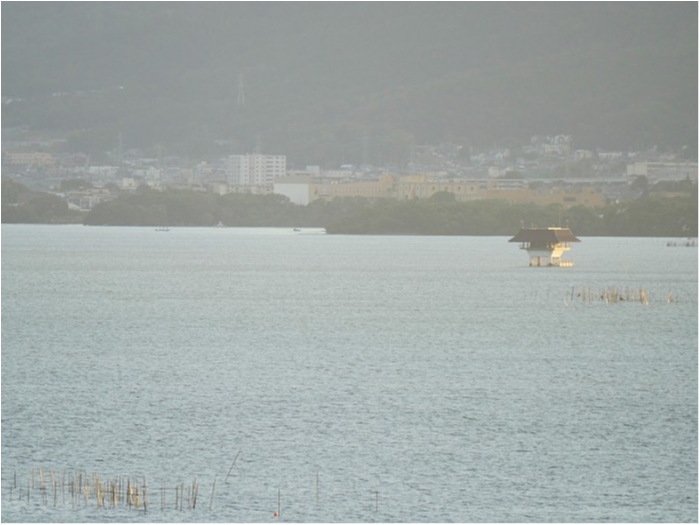 truth  ブログ写真 2018/08/17