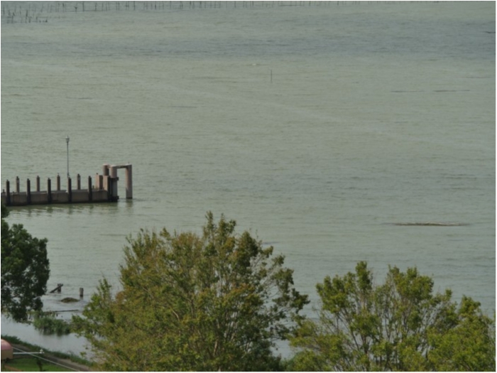 truth  ブログ写真 2018/09/05