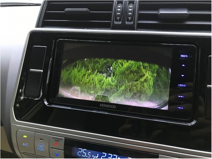 truth  ブログ写真 2019/01/11