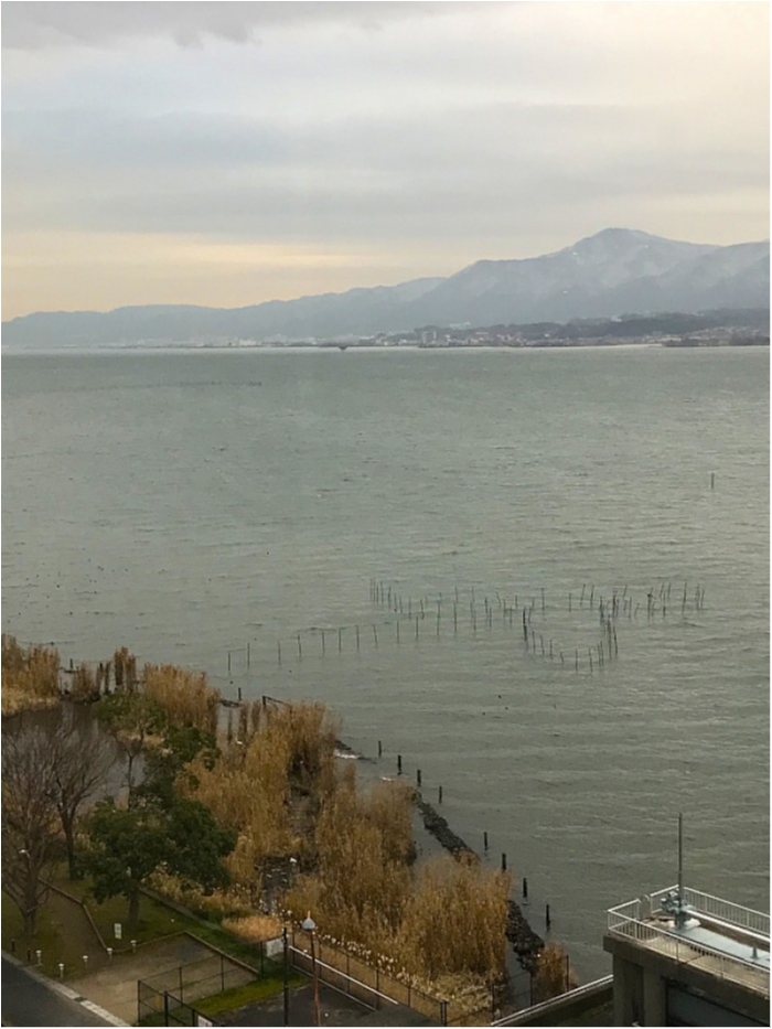 truth  ブログ写真 2019/01/11