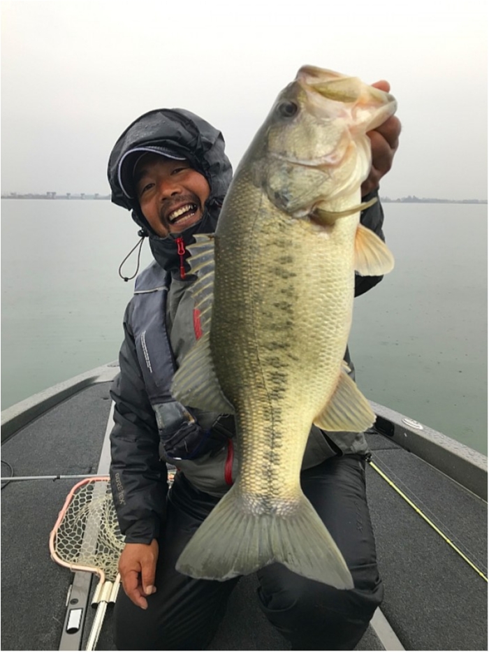 truth ブログ写真 2019/01/20