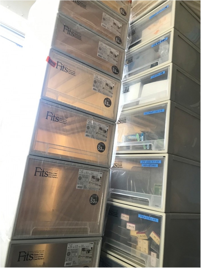 truth ブログ写真 2019/01/22