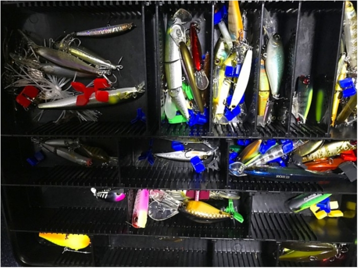 truth ブログ写真 2019/01/22