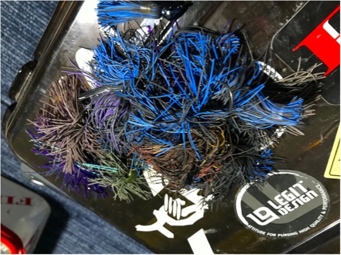 truth ブログ写真 2019/01/22