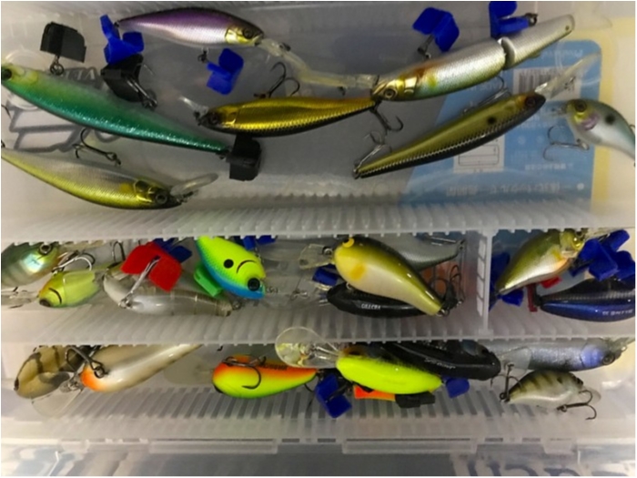 truth ブログ写真 2019/01/22