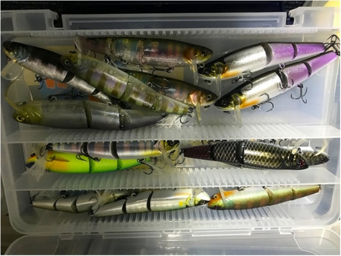 truth ブログ写真 2019/01/22