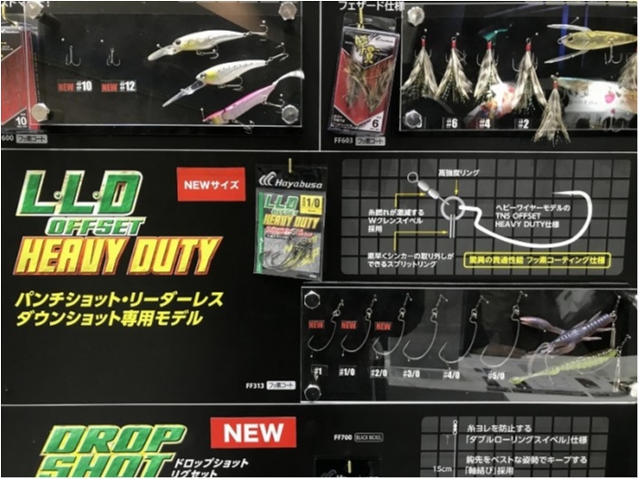 truth ブログ写真 2019/02/04