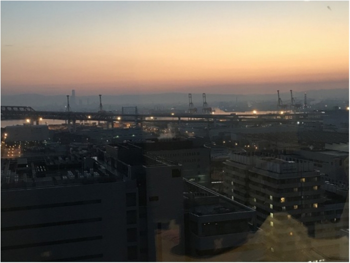 truth ブログ写真 2019/02/04