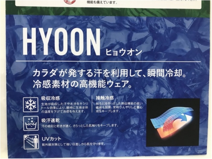 truth ブログ写真 2019/02/04