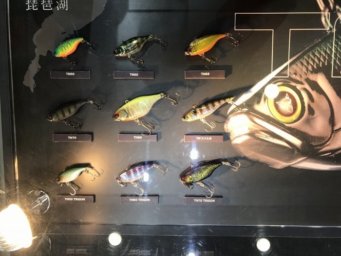 truth ブログ写真 2019/02/04