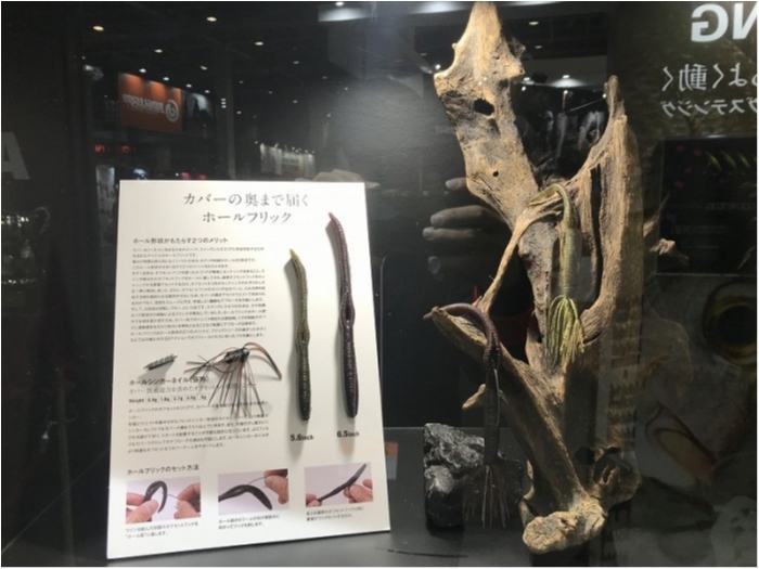 truth ブログ写真 2019/02/04