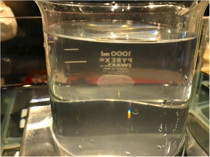 truth ブログ写真 2019/02/08