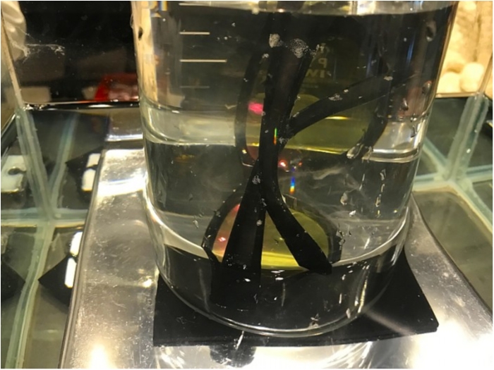 truth ブログ写真 2019/02/08