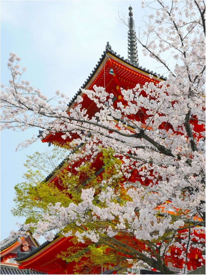 truth  ブログ写真 2019/04/07