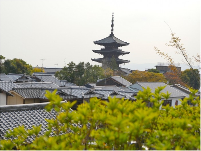 truth  ブログ写真 2019/04/07