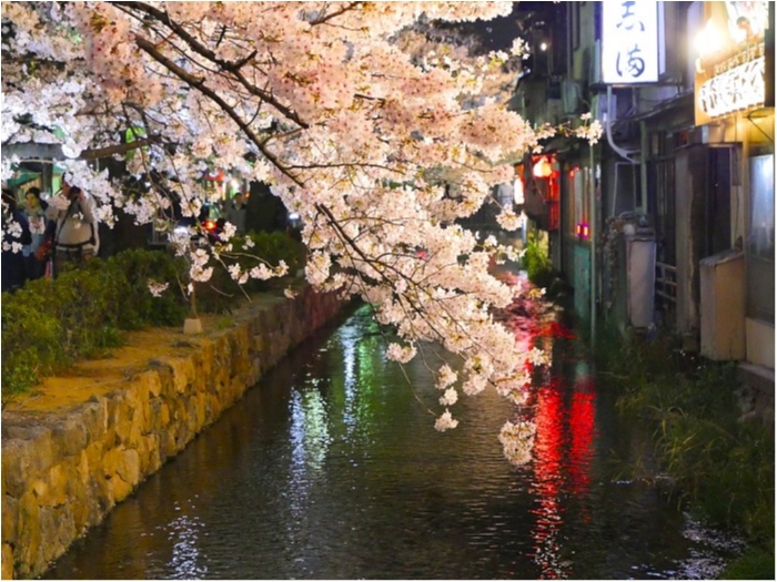 truth  ブログ写真 2019/04/07