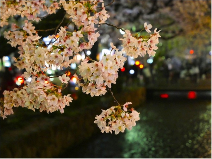 truth  ブログ写真 2019/04/07