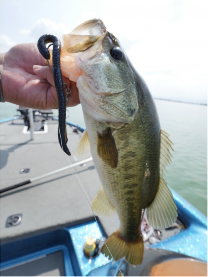 truth ブログ写真 2019/06/01