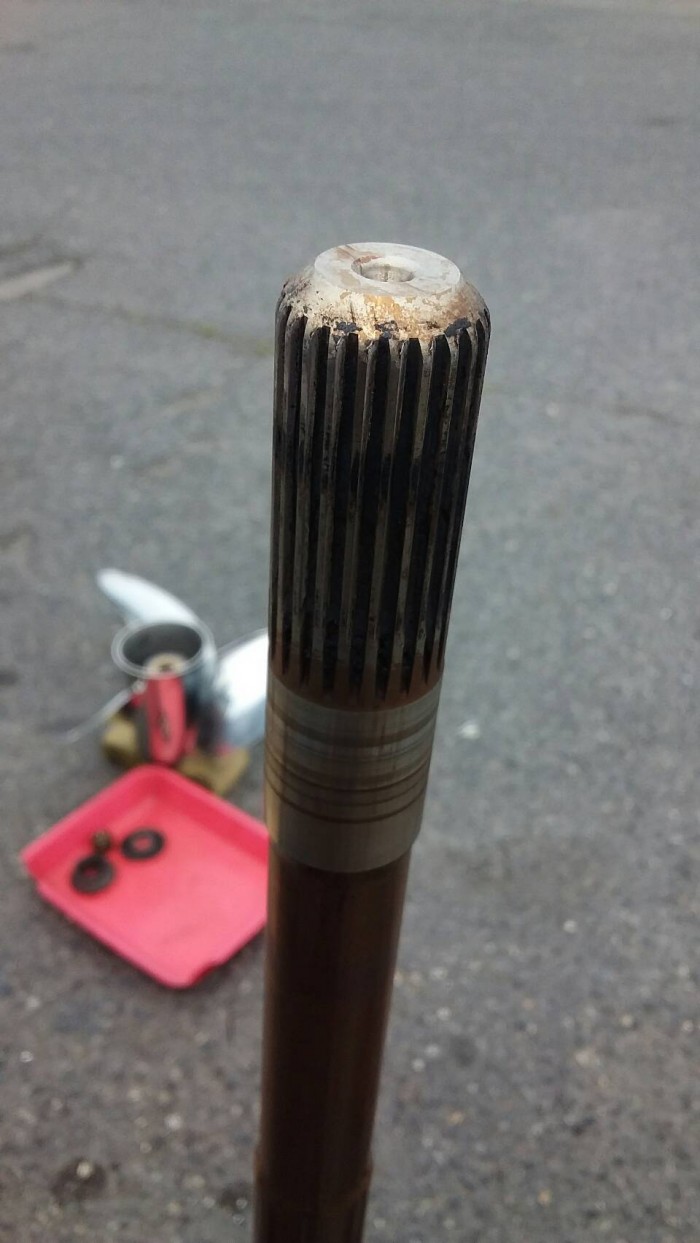 truth ブログ写真 2019/06/02